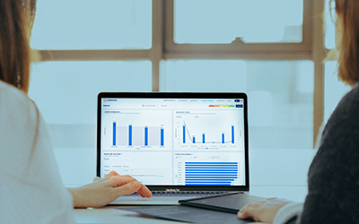 Reviewing assessment data Optisolve SAVI